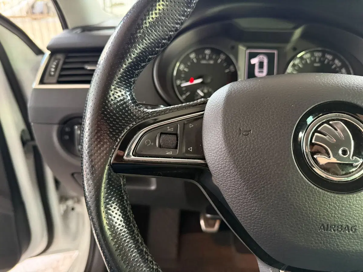 Skoda Octavia Station Wagon usata a Brescia (12)