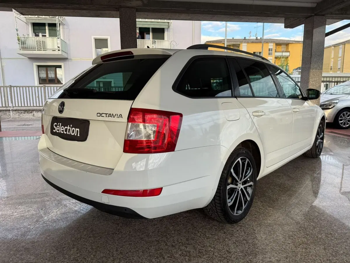 Skoda Octavia Station Wagon usata a Brescia (4)