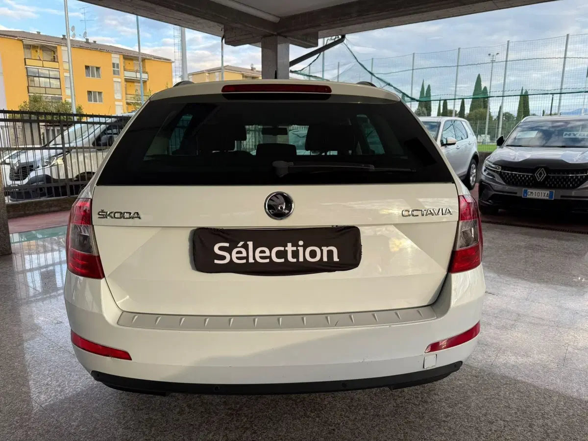 Skoda Octavia Station Wagon usata a Brescia (5)