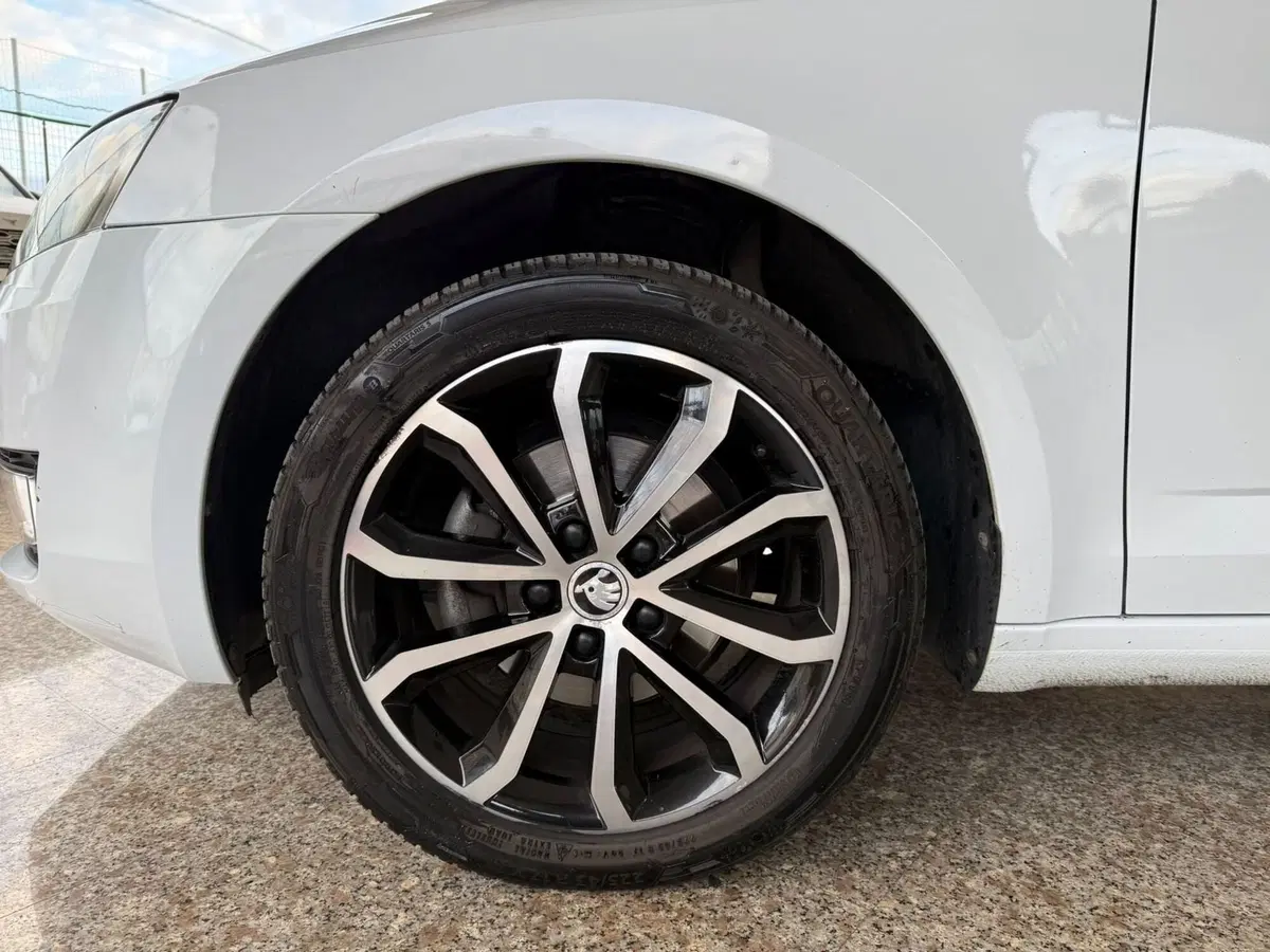 Skoda Octavia Station Wagon usata a Brescia (7)
