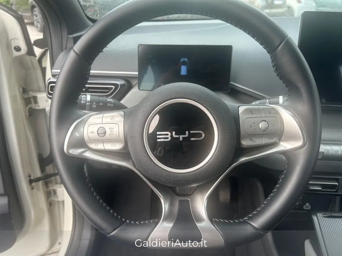 Byd Dolphin Surf usata a Salerno (16)