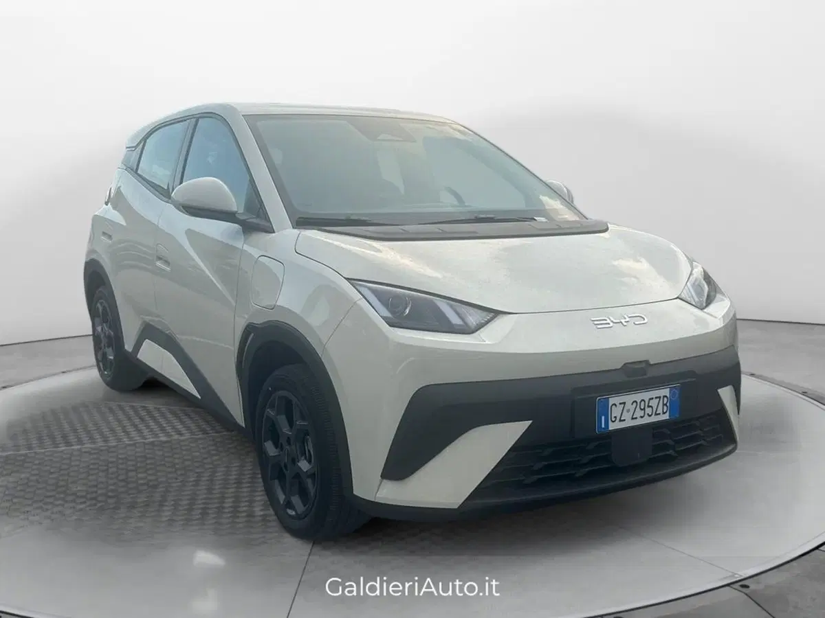 Byd Dolphin Surf usata a Salerno (2)