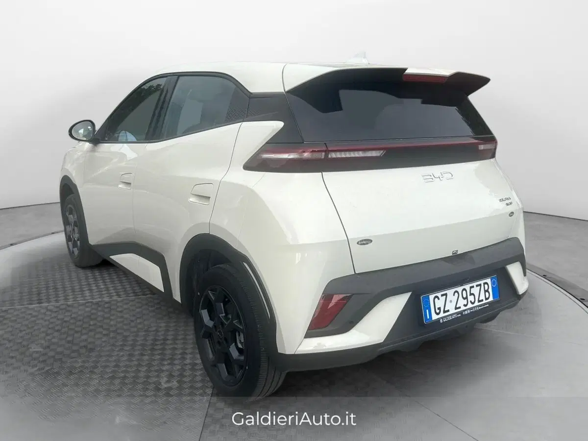 Byd Dolphin Surf usata a Salerno (3)