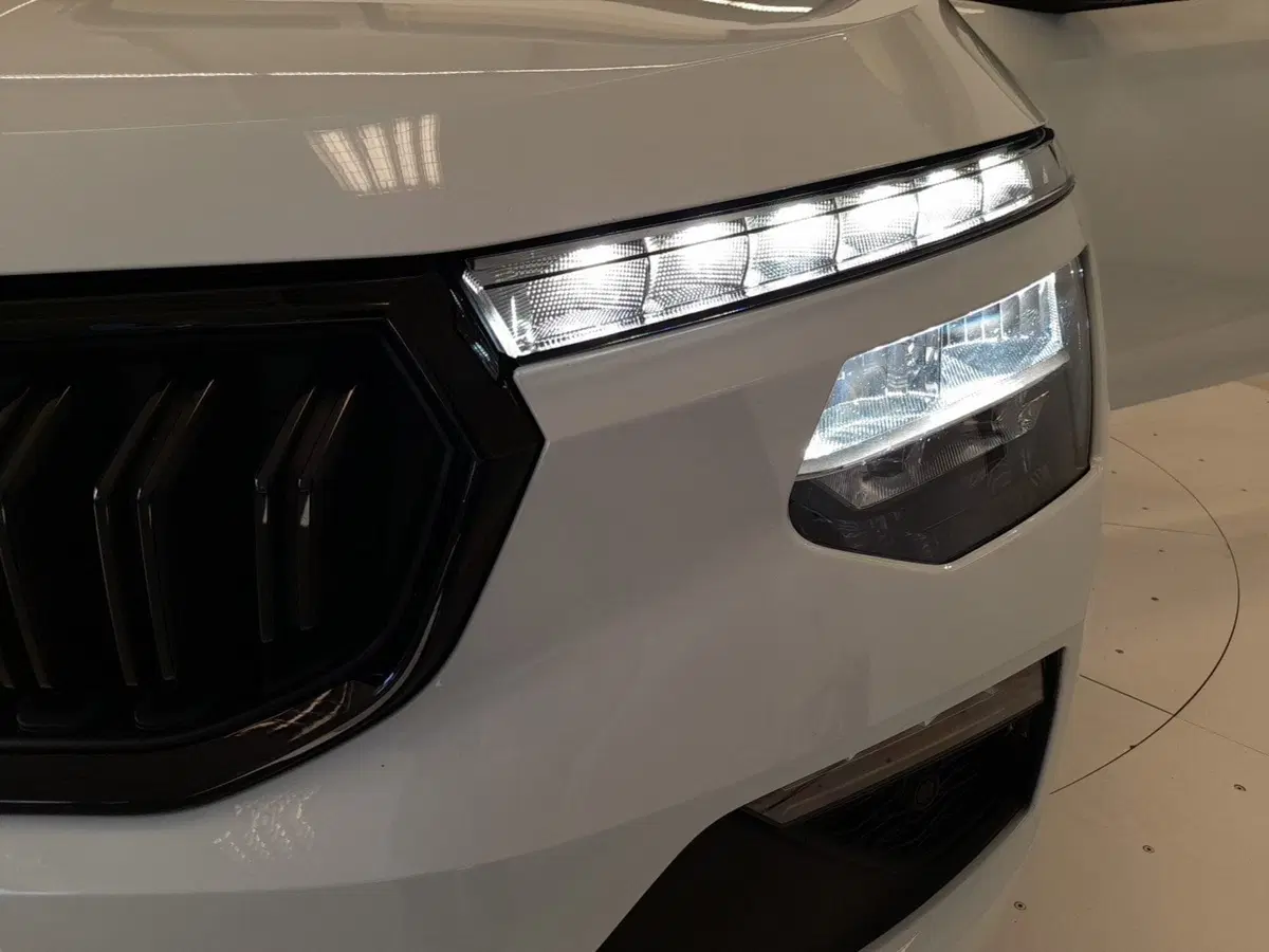 Skoda Kamiq usata a Bologna (8)