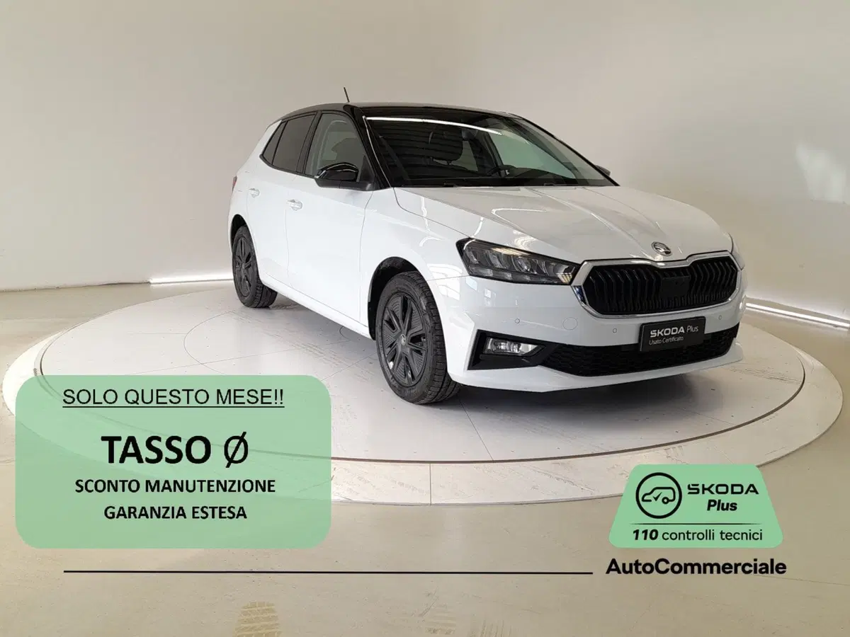 Skoda Fabia usata a Bologna