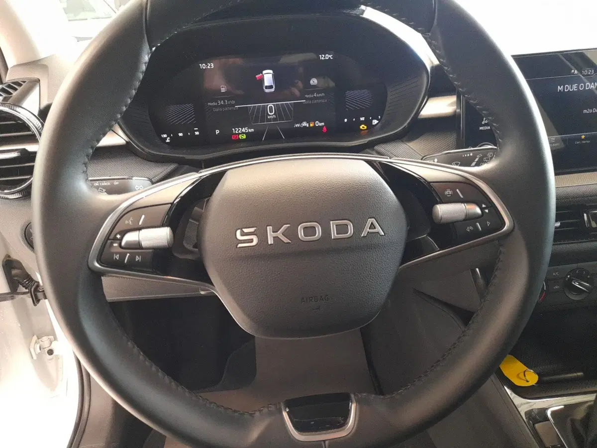 Skoda Fabia usata a Bologna (11)