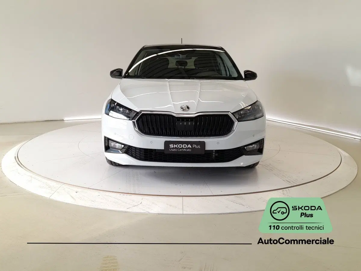 Skoda Fabia usata a Bologna (2)