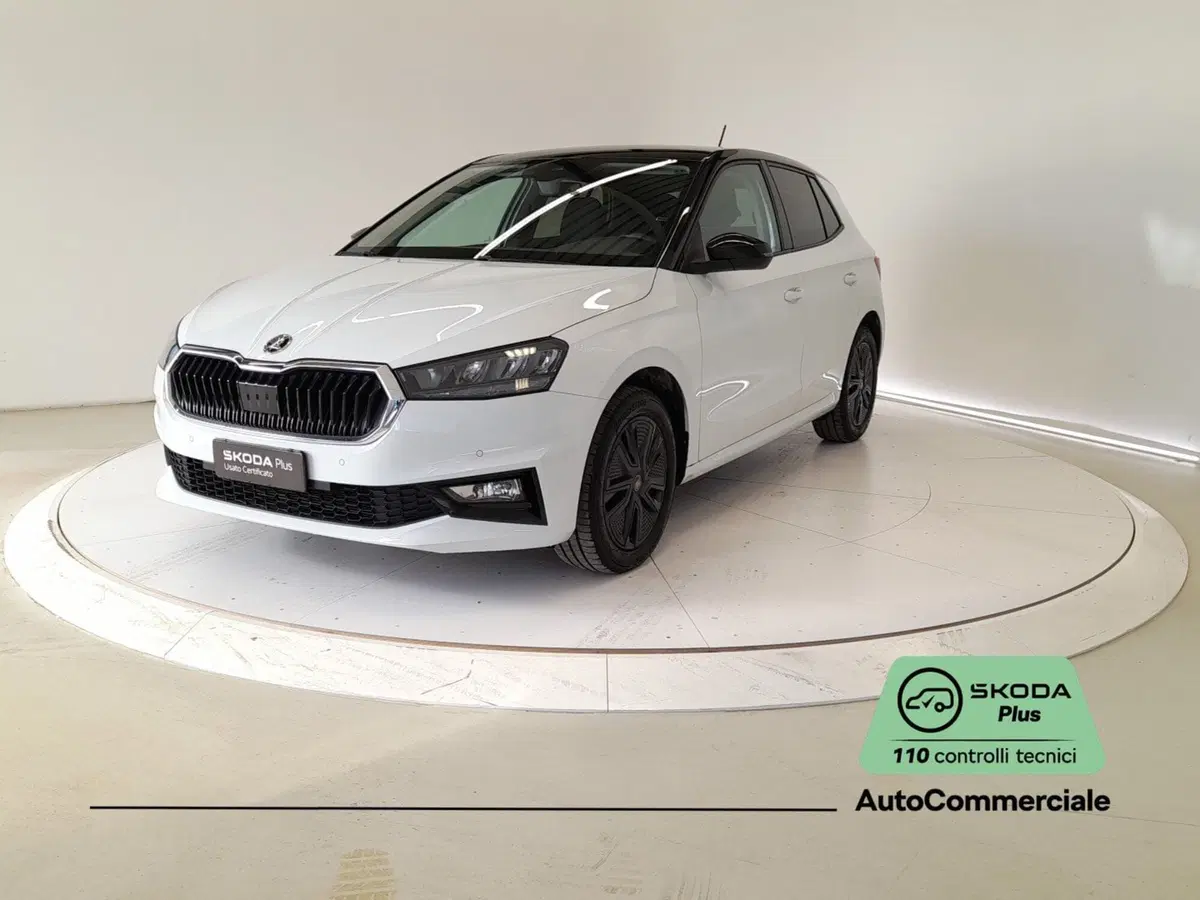 Skoda Fabia usata a Bologna (3)