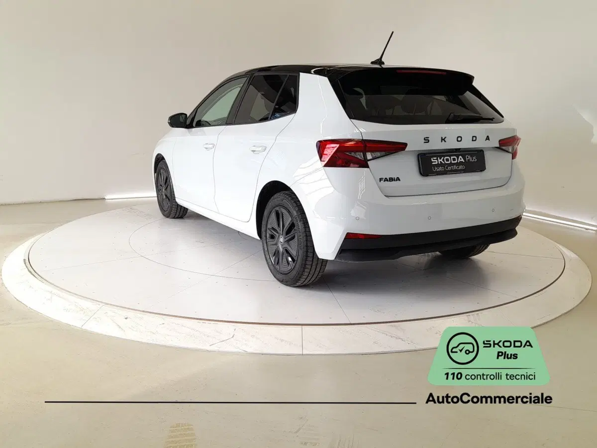 Skoda Fabia usata a Bologna (4)