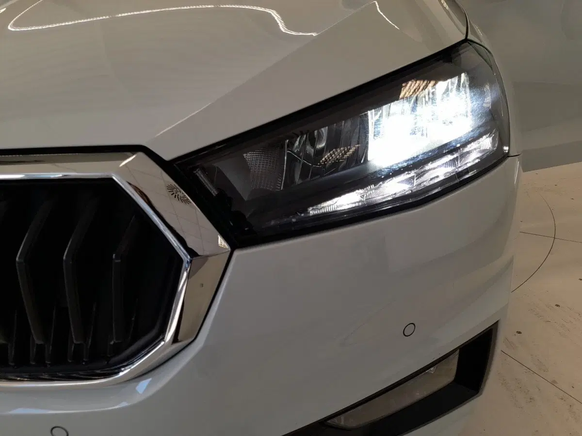 Skoda Fabia usata a Bologna (8)