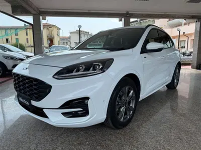 Ford Kuga 1.5 EcoBlue 120 CV aut. 2WD ST-Line X Design del 2023 usata a Desenzano del Garda
