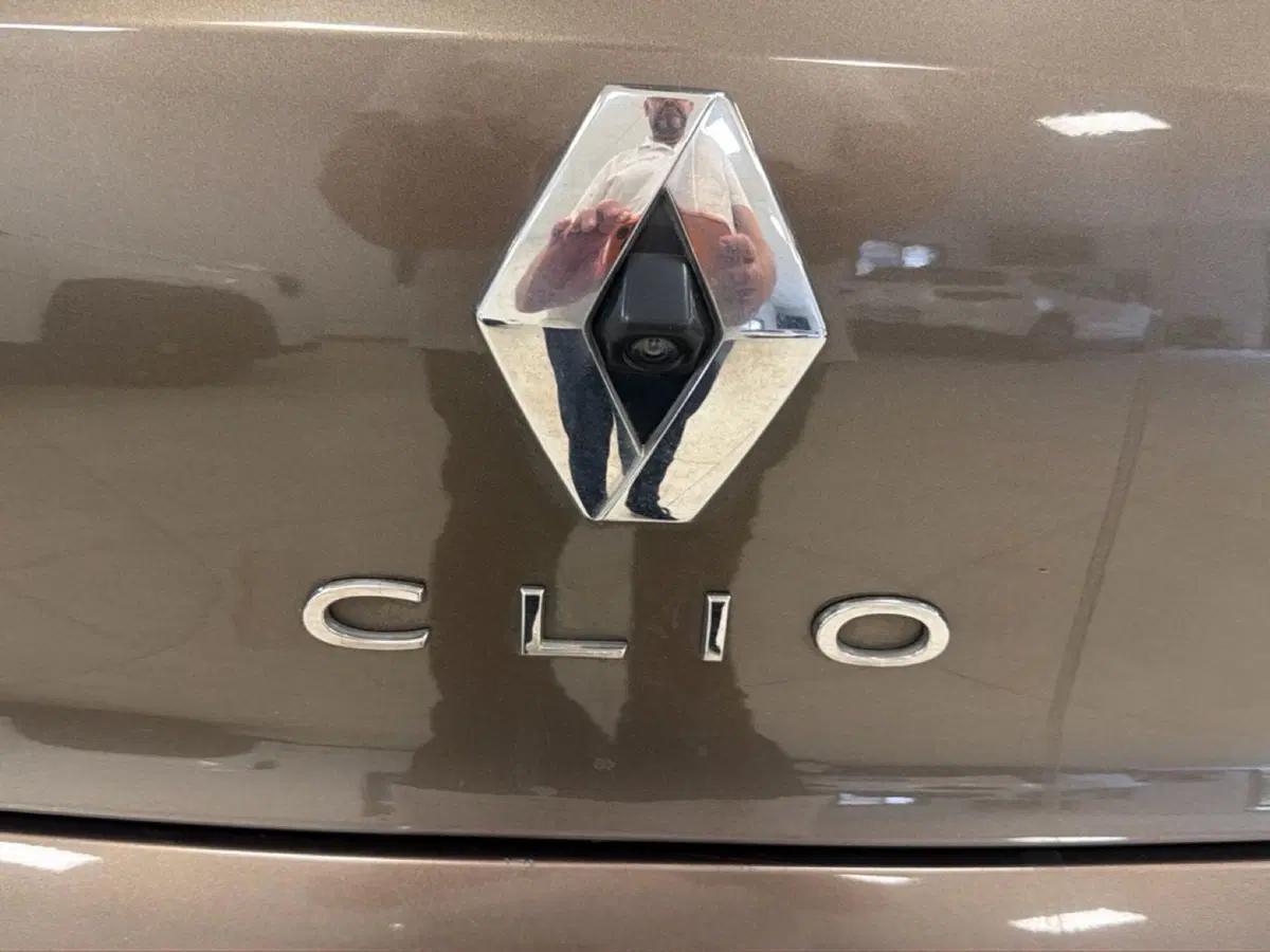 Renault Clio usata a Palermo (19)