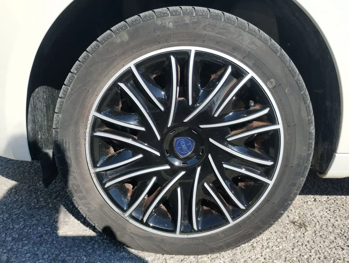 Lancia Ypsilon usata a Ravenna (10)