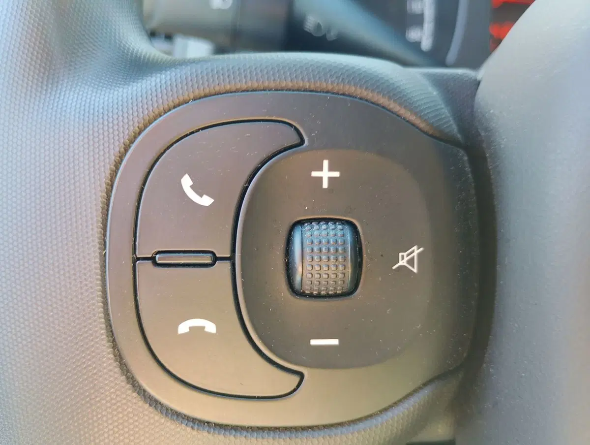 Fiat Panda Cross usata a Ravenna (14)