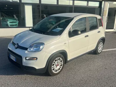 Fiat Panda 1.0 FireFly S&S Hybrid City Cross del 2023 usata a Verdello
