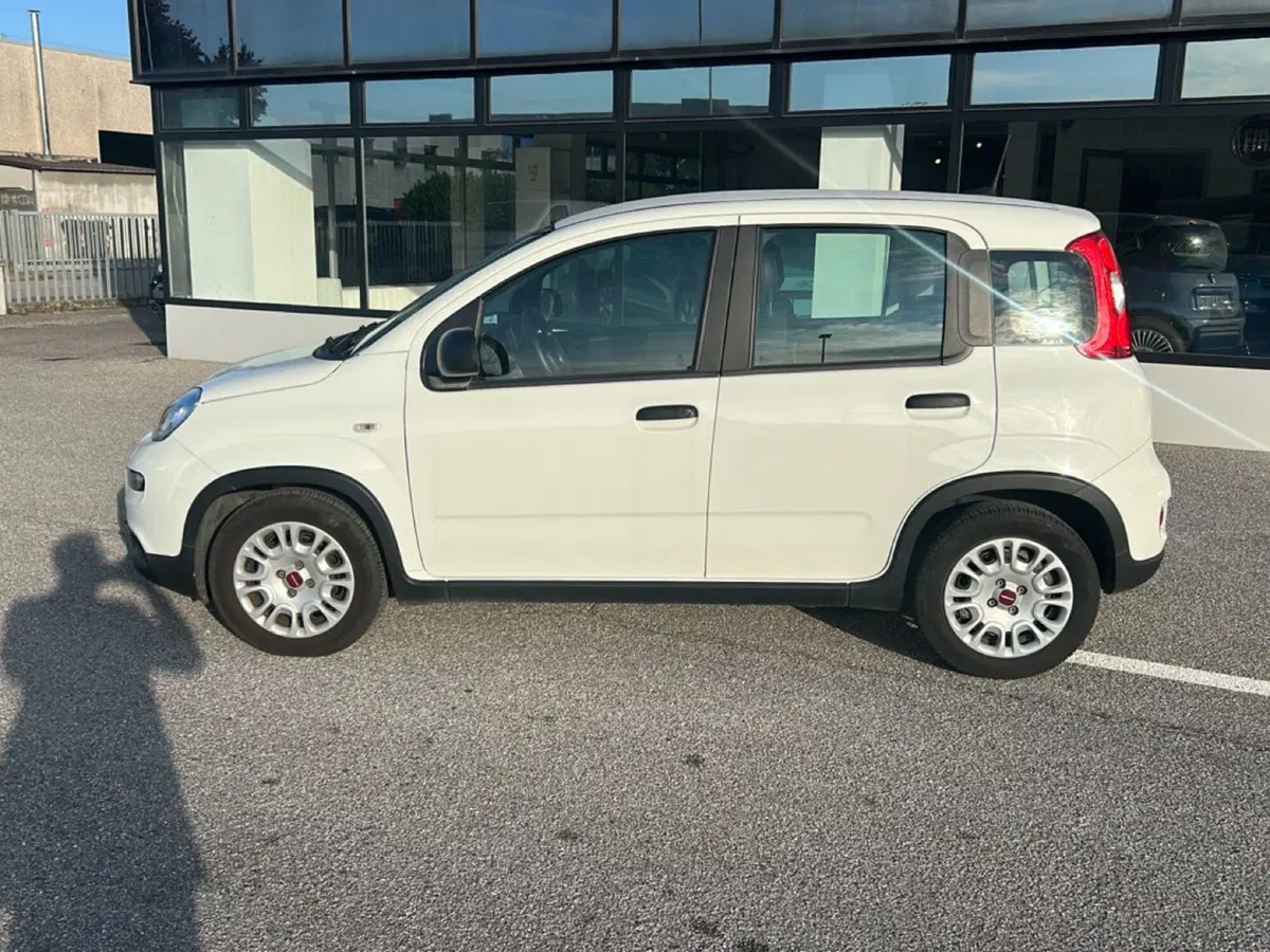 Fiat Panda usata a Bergamo (2)
