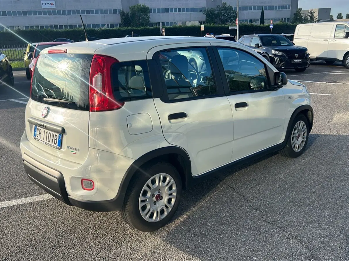 Fiat Panda usata a Bergamo (5)