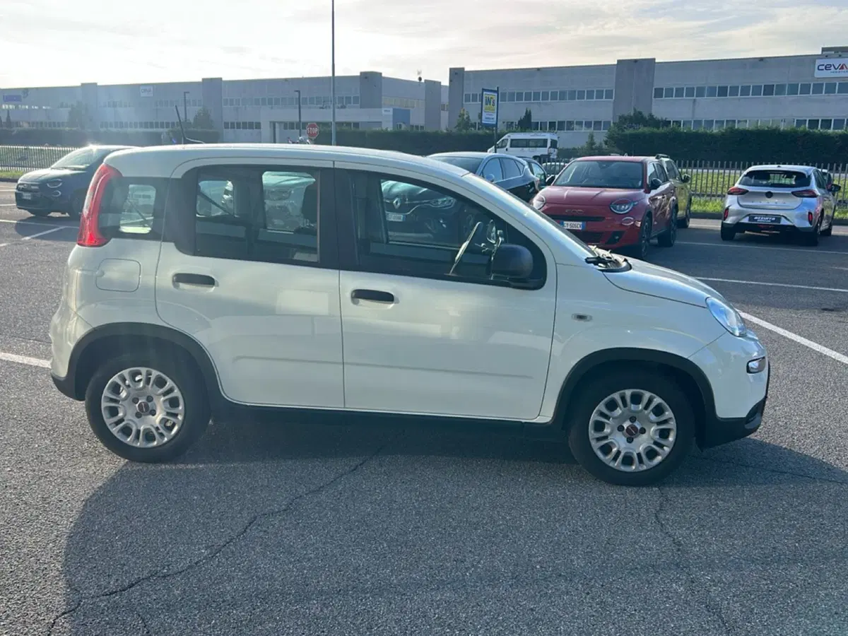 Fiat Panda usata a Bergamo (6)