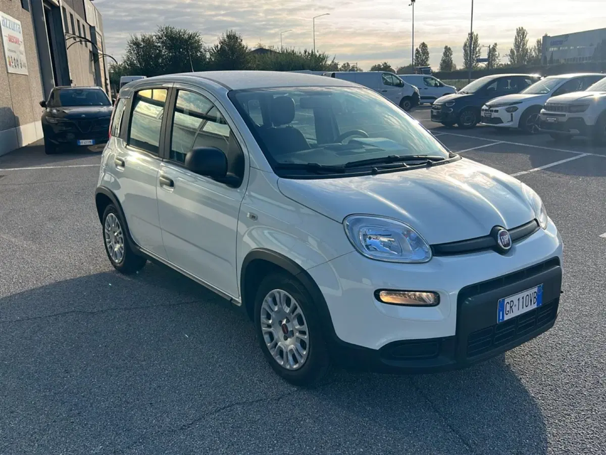Fiat Panda usata a Bergamo (7)