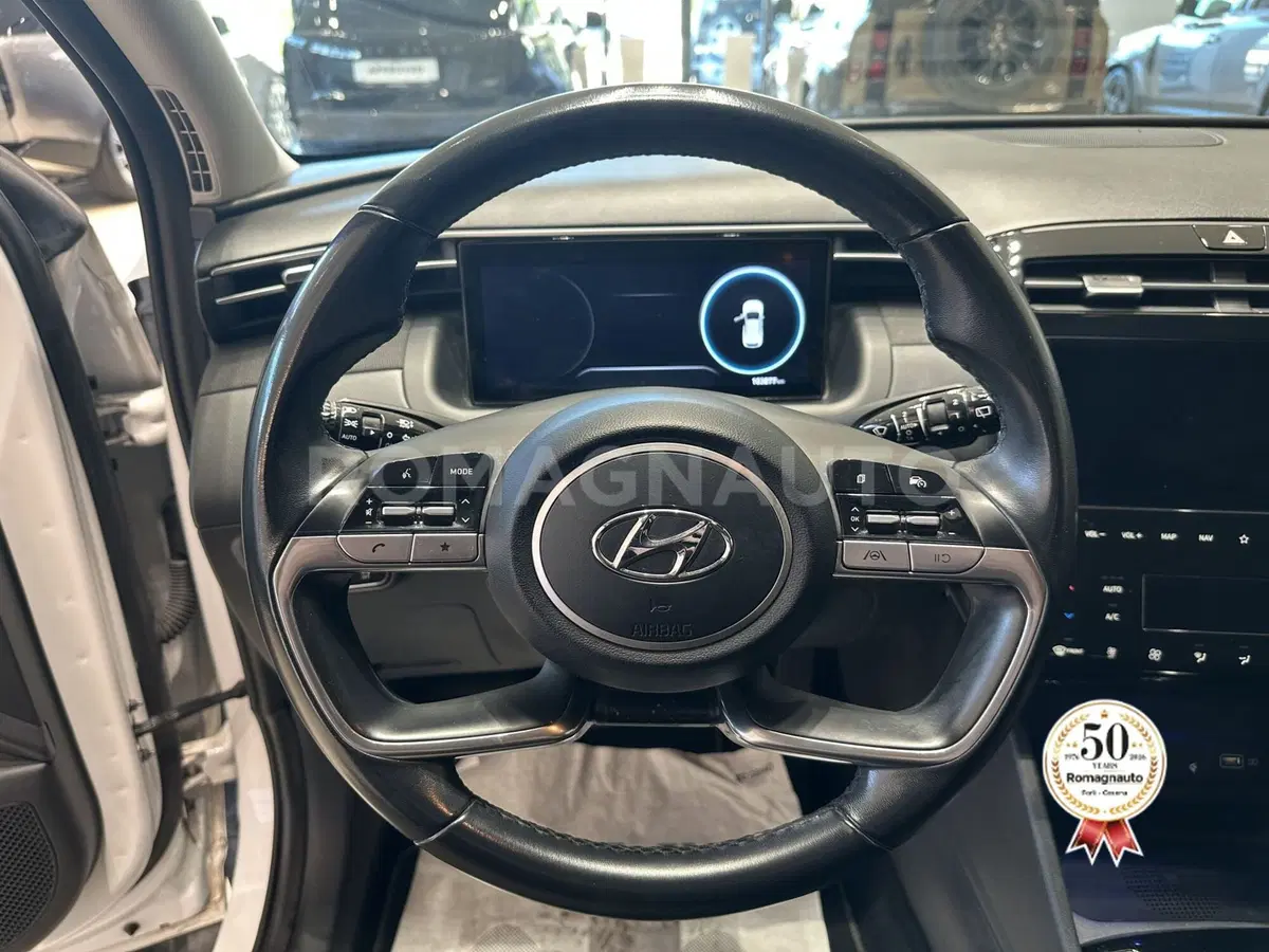 Hyundai Tucson usata a Forlì-Cesena (16)