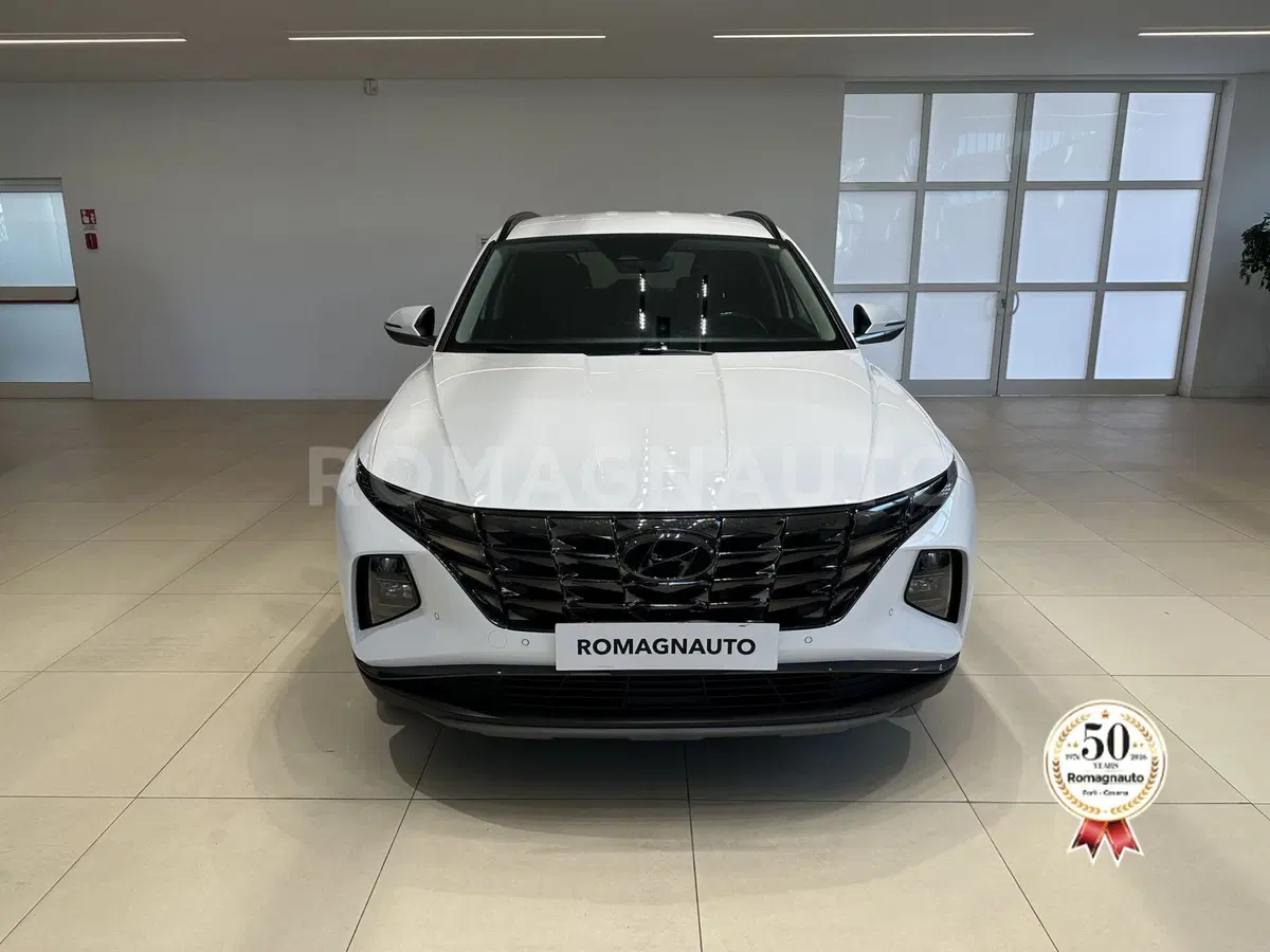 Hyundai Tucson usata a Forlì-Cesena (2)