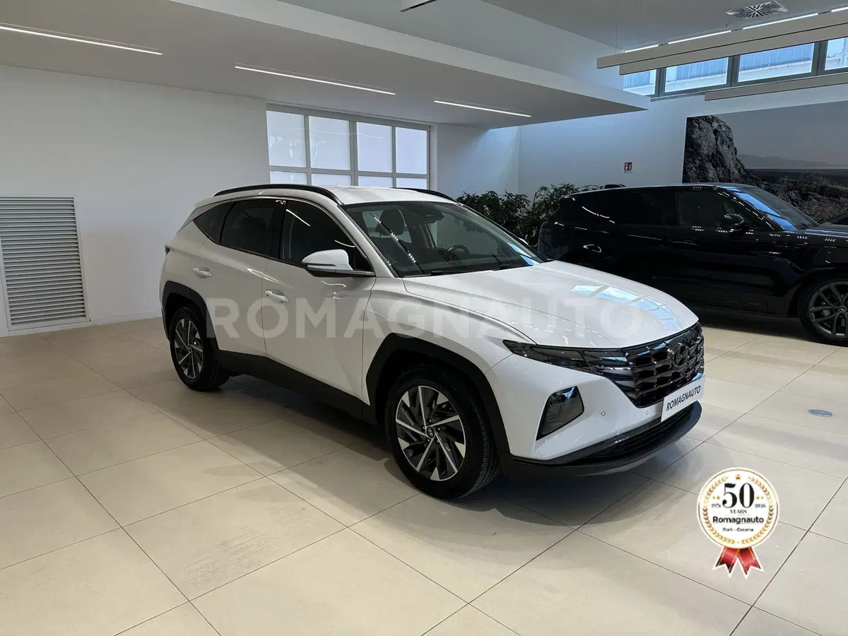 Hyundai Tucson usata a Forlì-Cesena (3)