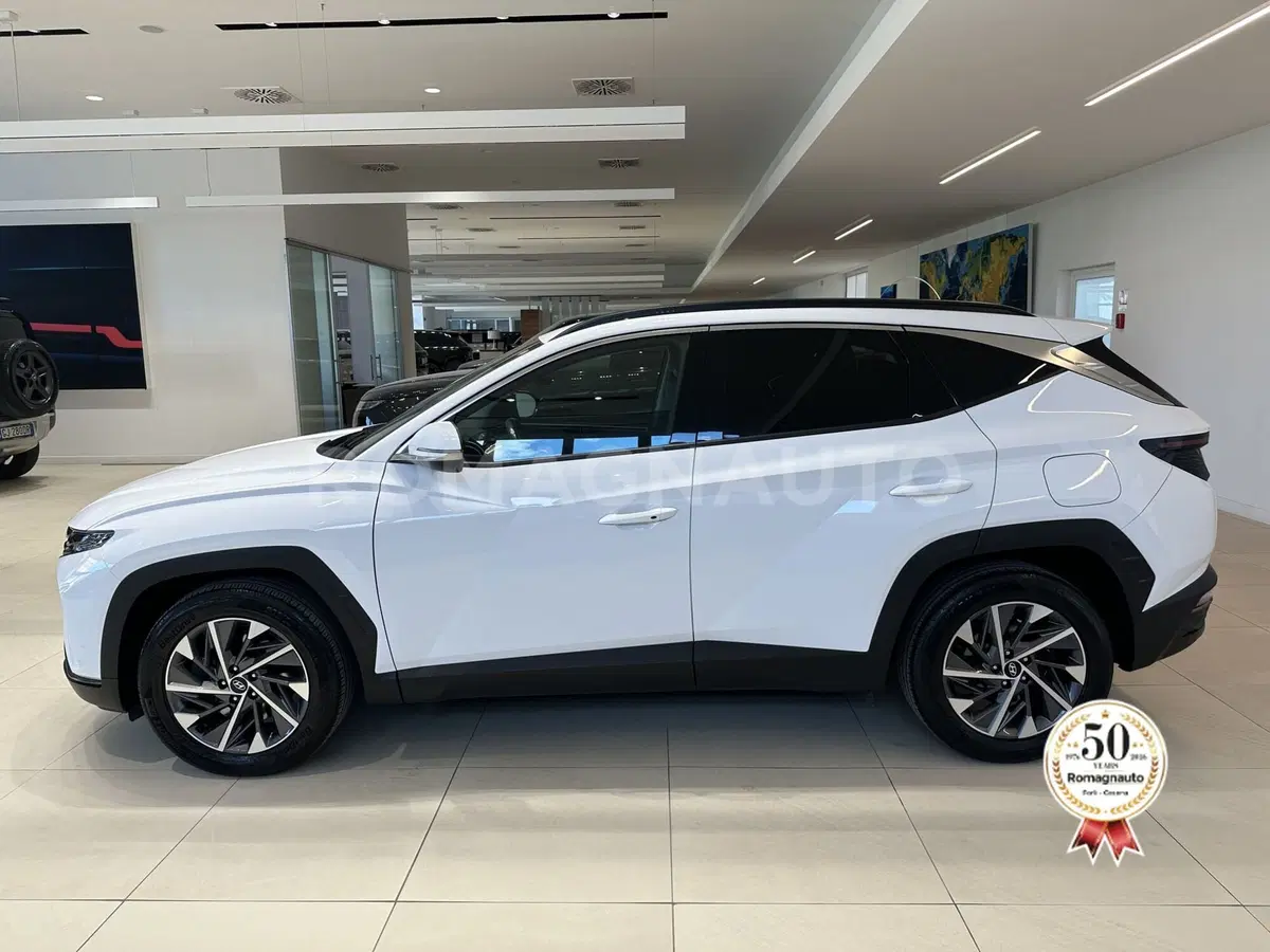 Hyundai Tucson usata a Forlì-Cesena (8)