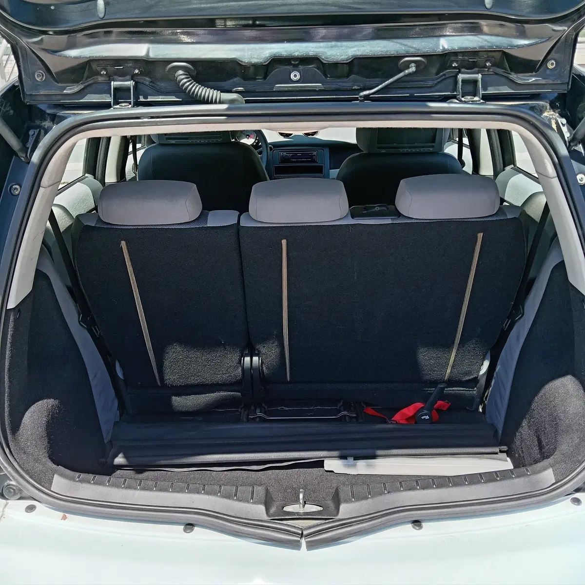 smart forfour usata a L'Aquila (11)
