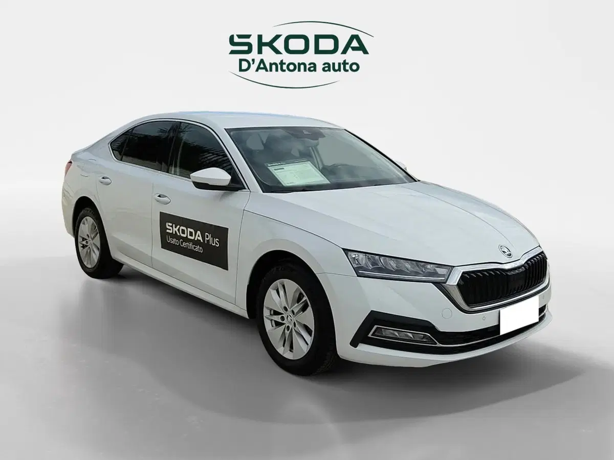 Skoda Octavia usata a Taranto
