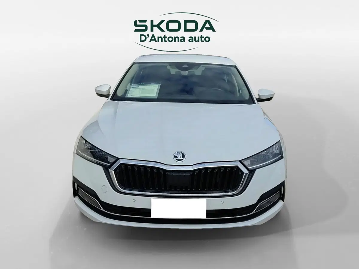 Skoda Octavia usata a Taranto (2)