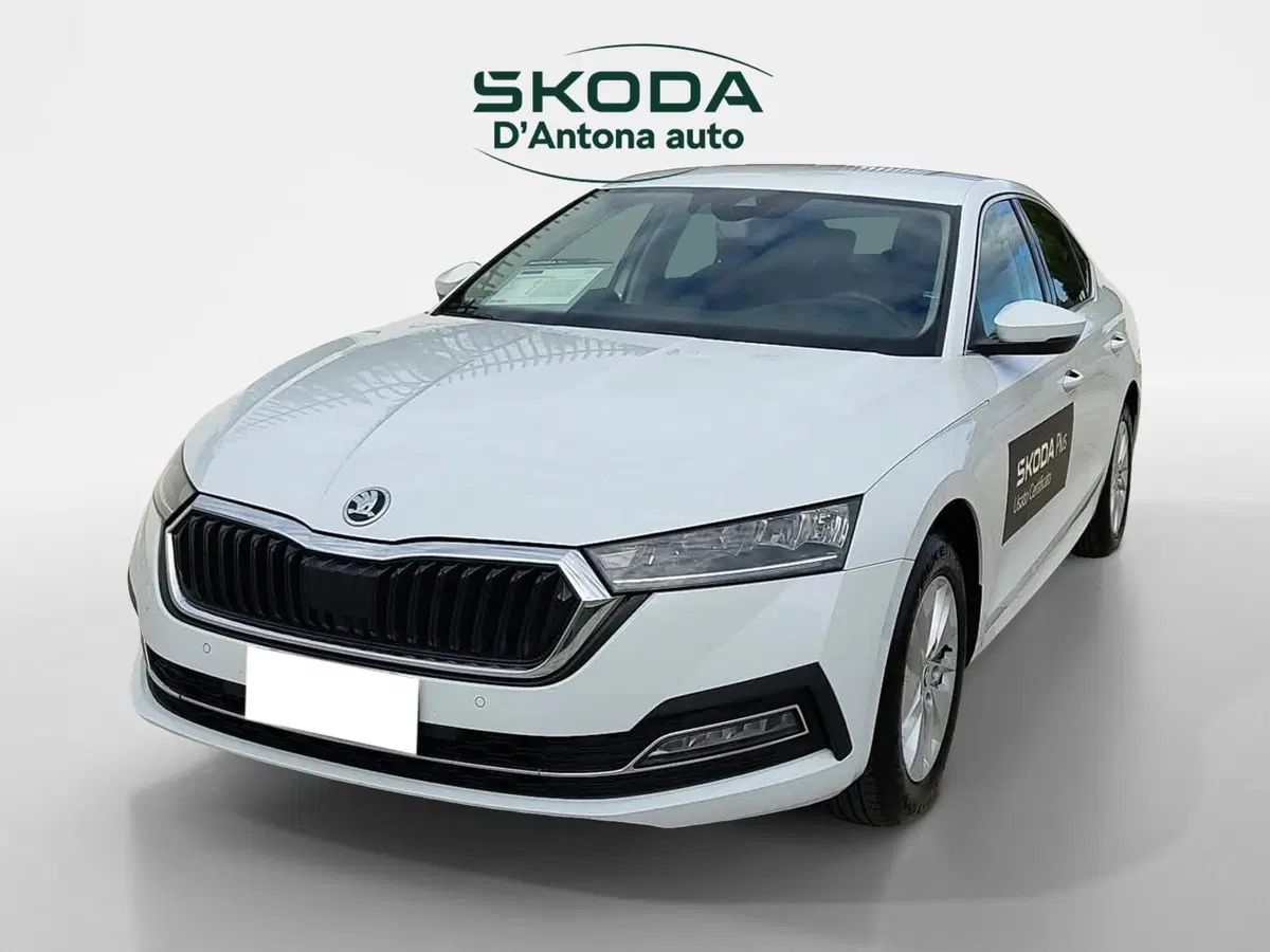 Skoda Octavia usata a Taranto (3)
