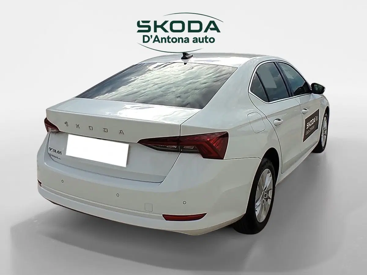 Skoda Octavia usata a Taranto (4)