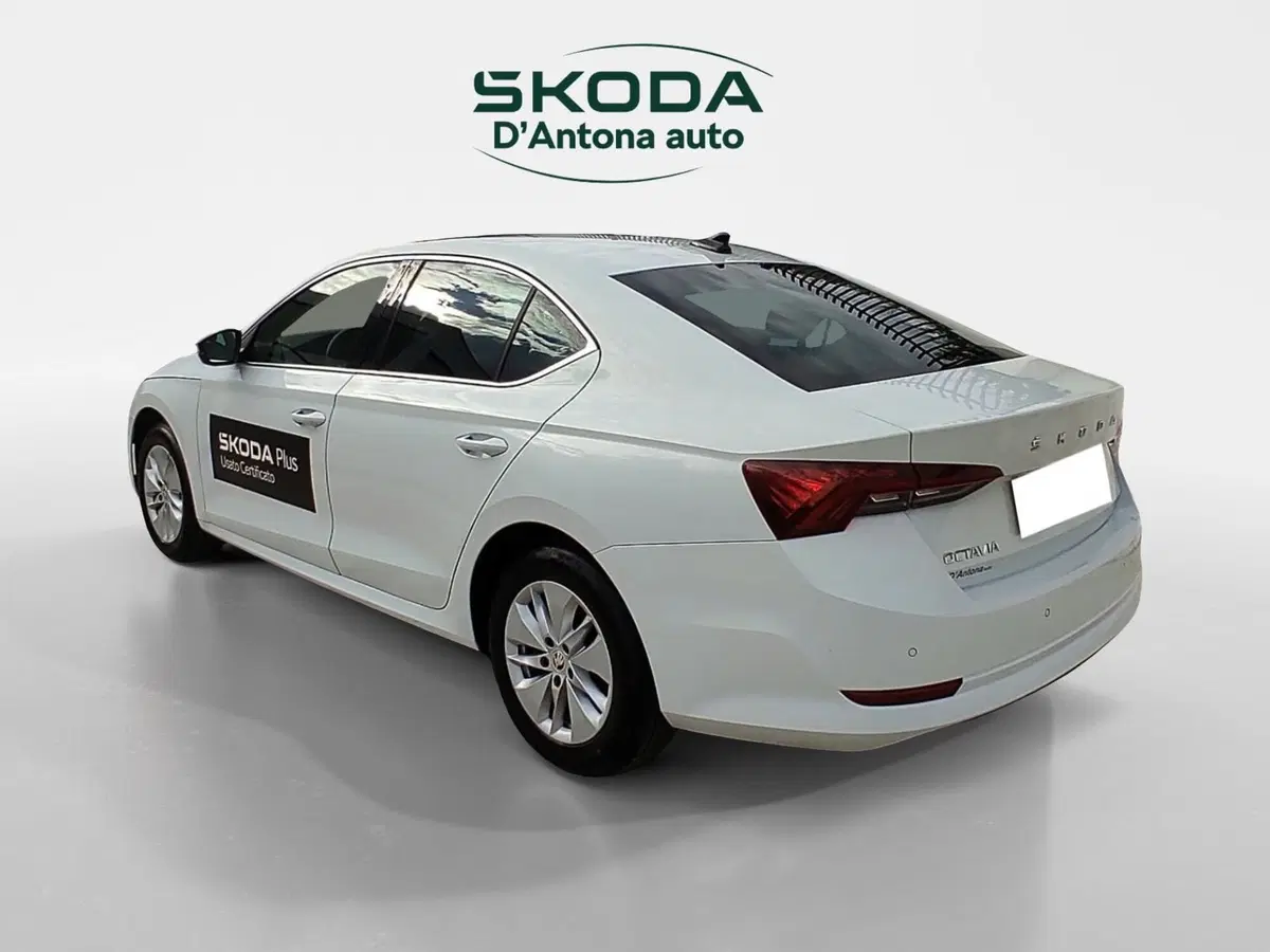 Skoda Octavia usata a Taranto (6)