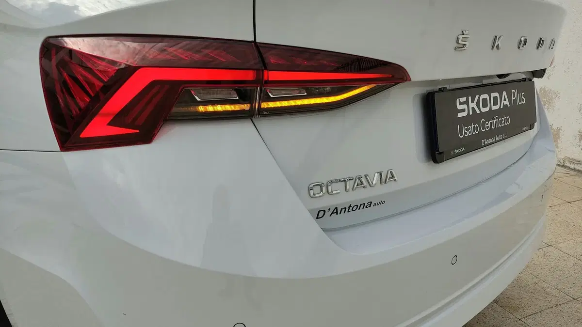 Skoda Octavia usata a Taranto (7)