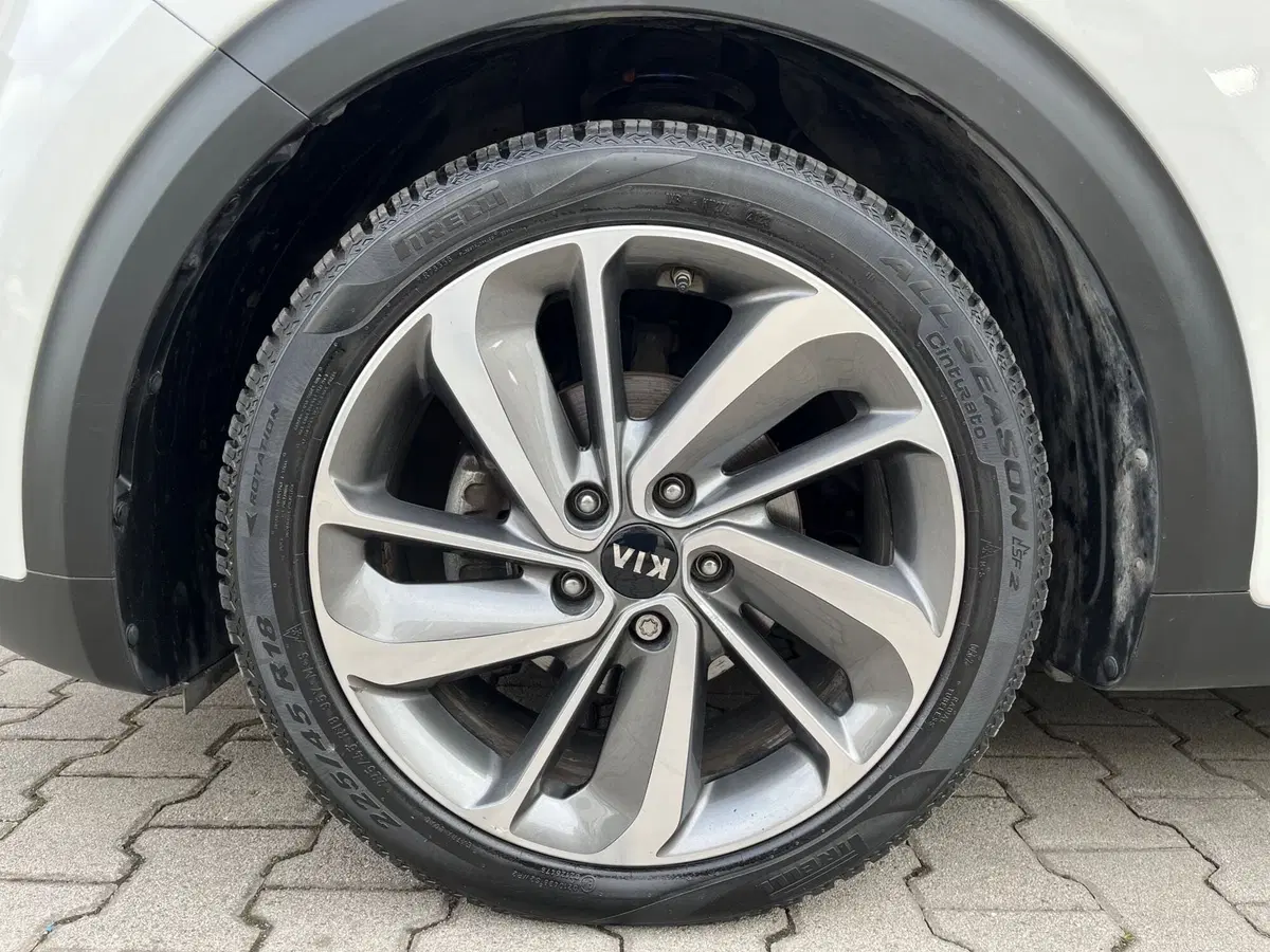 Kia Niro usata a Ferrara (16)