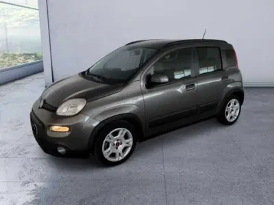 Fiat Panda 1.0 firefly hybrid s&s 70cv del 2023 usata a Caltanissetta