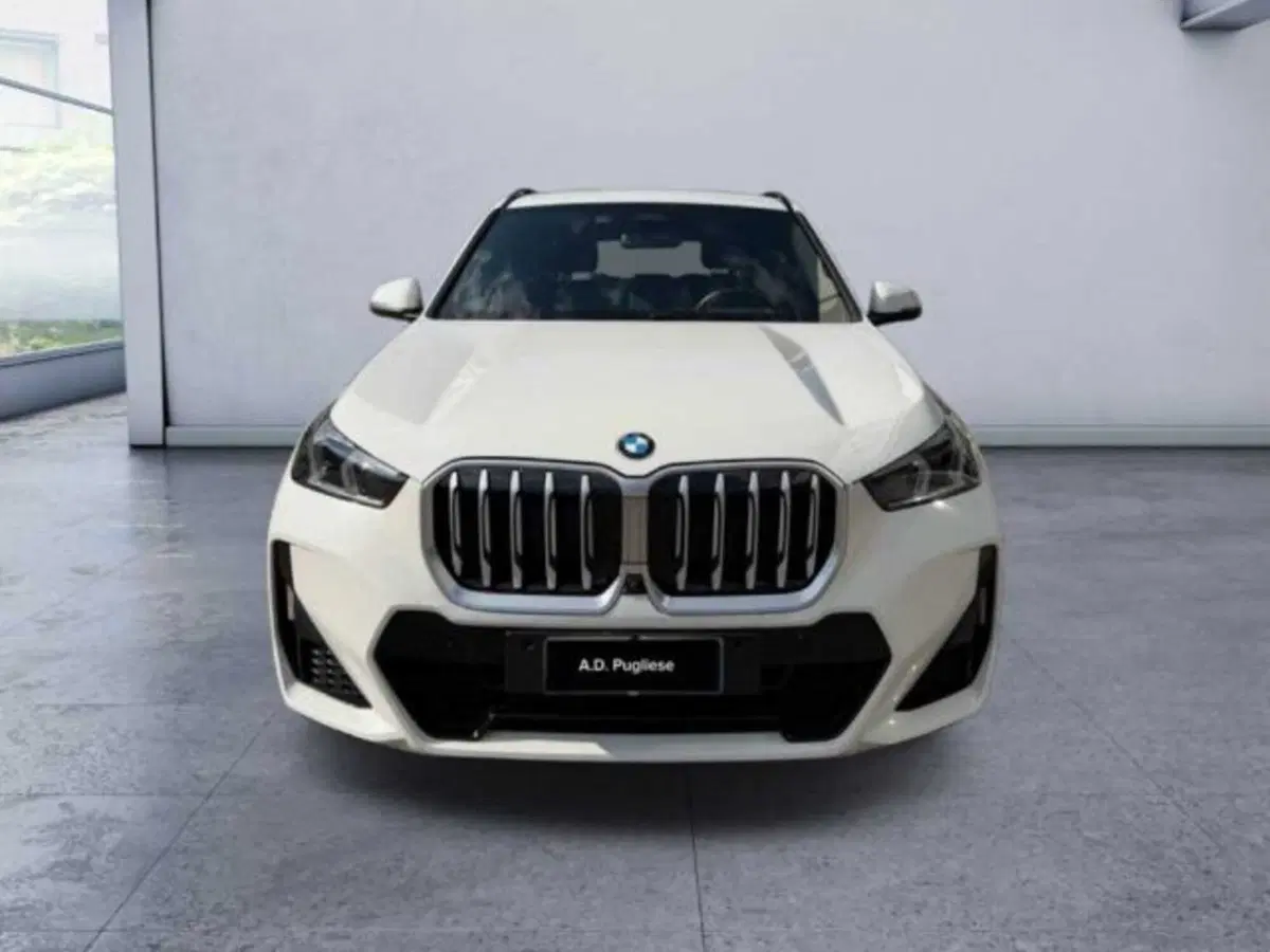 BMW X1 usata a Caltanissetta (2)