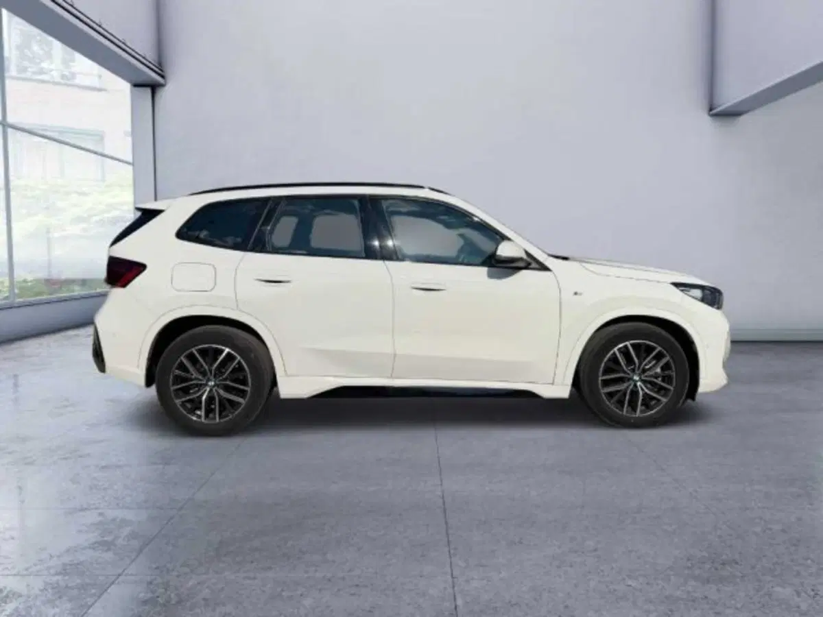 BMW X1 usata a Caltanissetta (3)