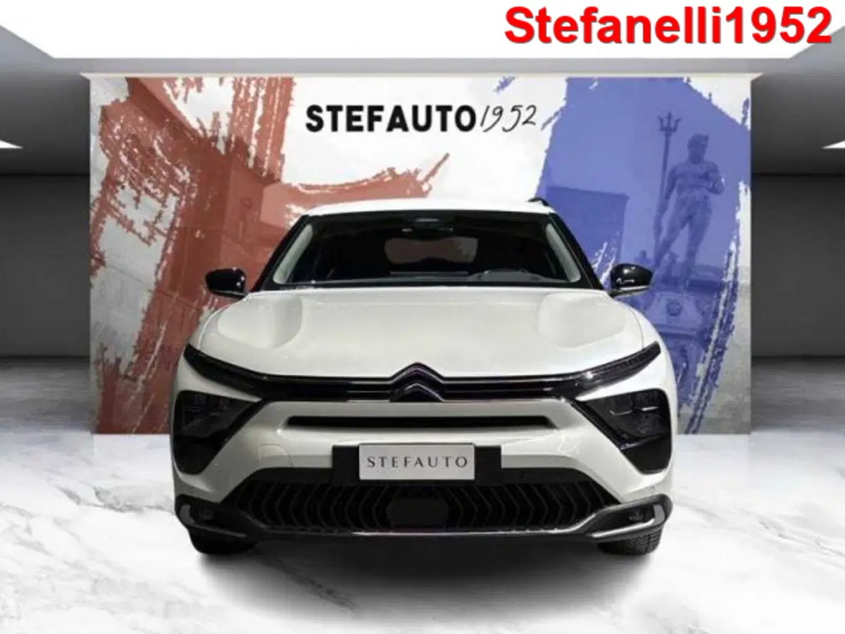 Citroen C5 X usata a Bologna (2)