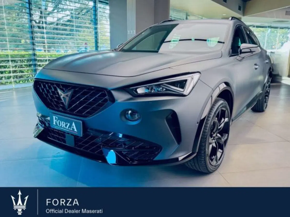 Cupra Formentor usata a Torino
