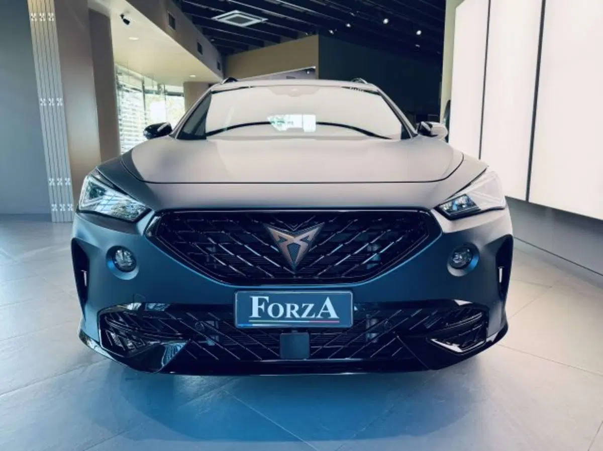 Cupra Formentor usata a Torino (2)