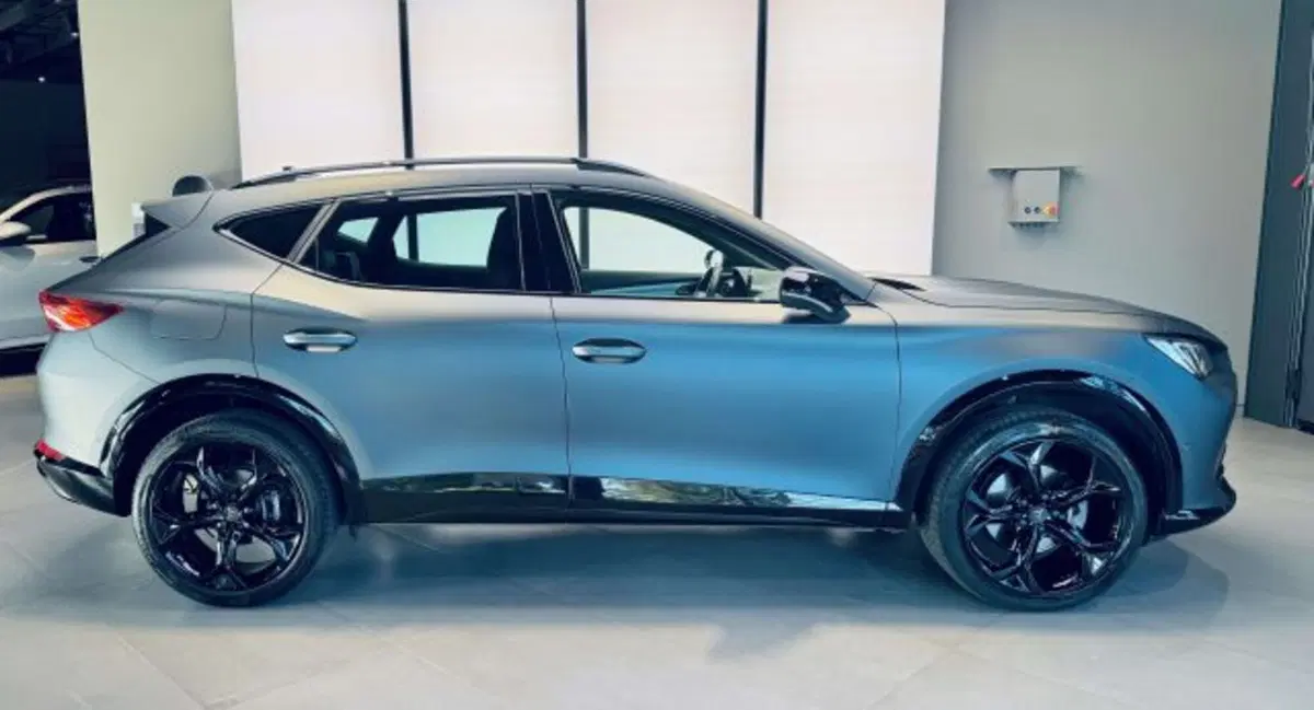 Cupra Formentor usata a Torino (4)