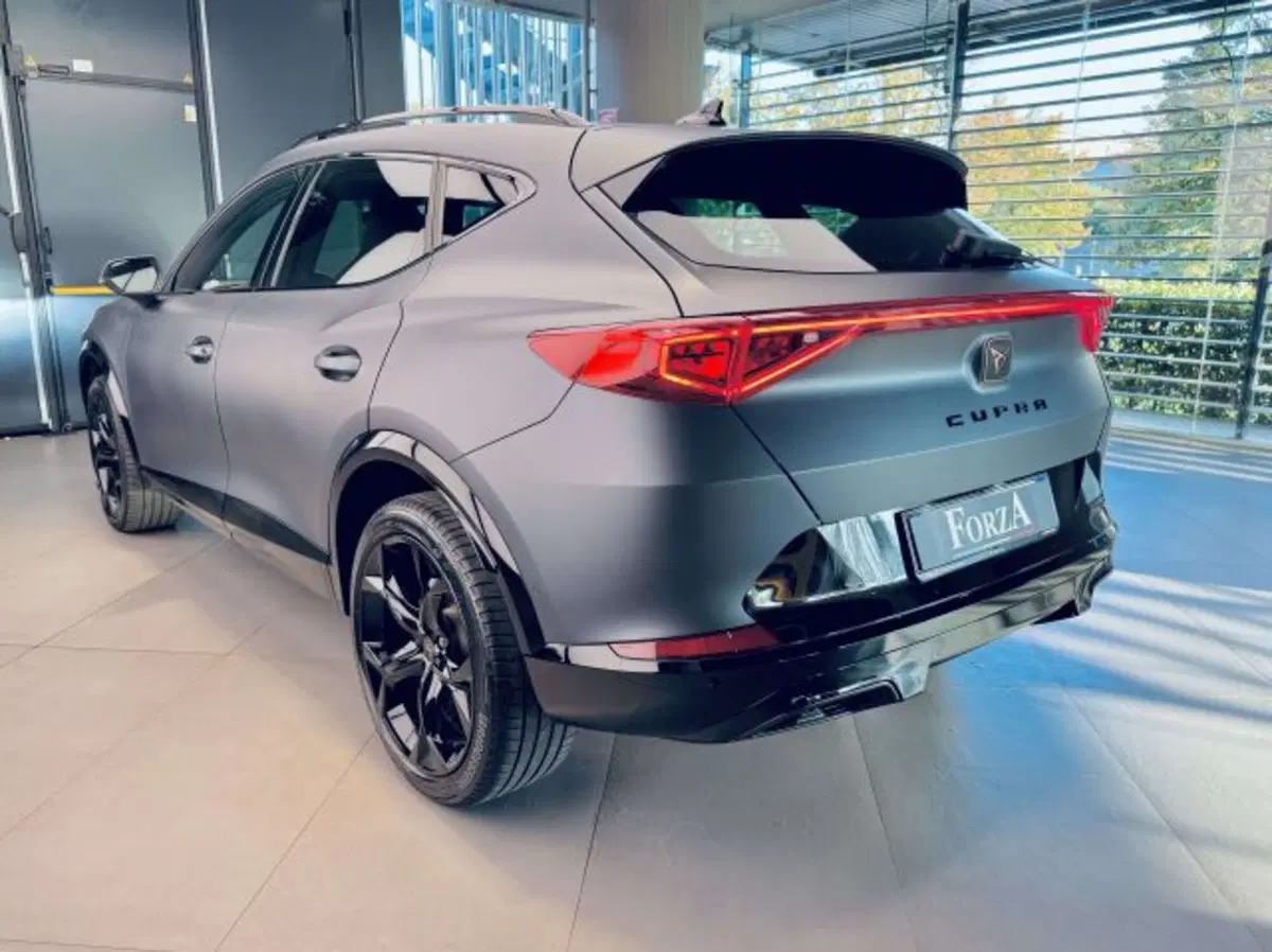 Cupra Formentor usata a Torino (6)