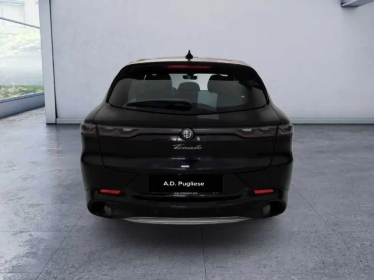 Alfa Romeo Tonale usata a Caltanissetta (6)