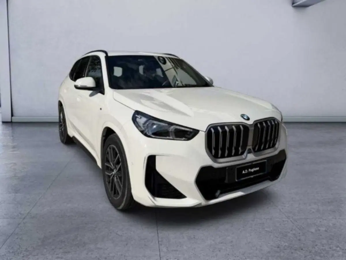 BMW X1 usata a Caltanissetta