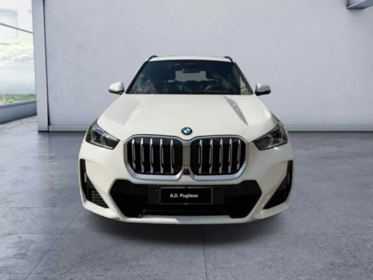 BMW X1 usata a Caltanissetta (2)