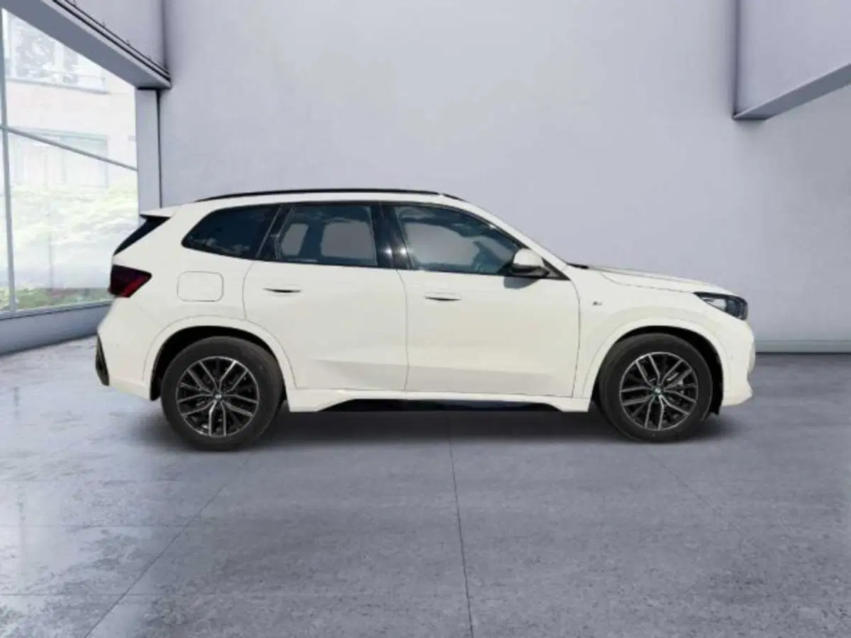 BMW X1 usata a Caltanissetta (3)