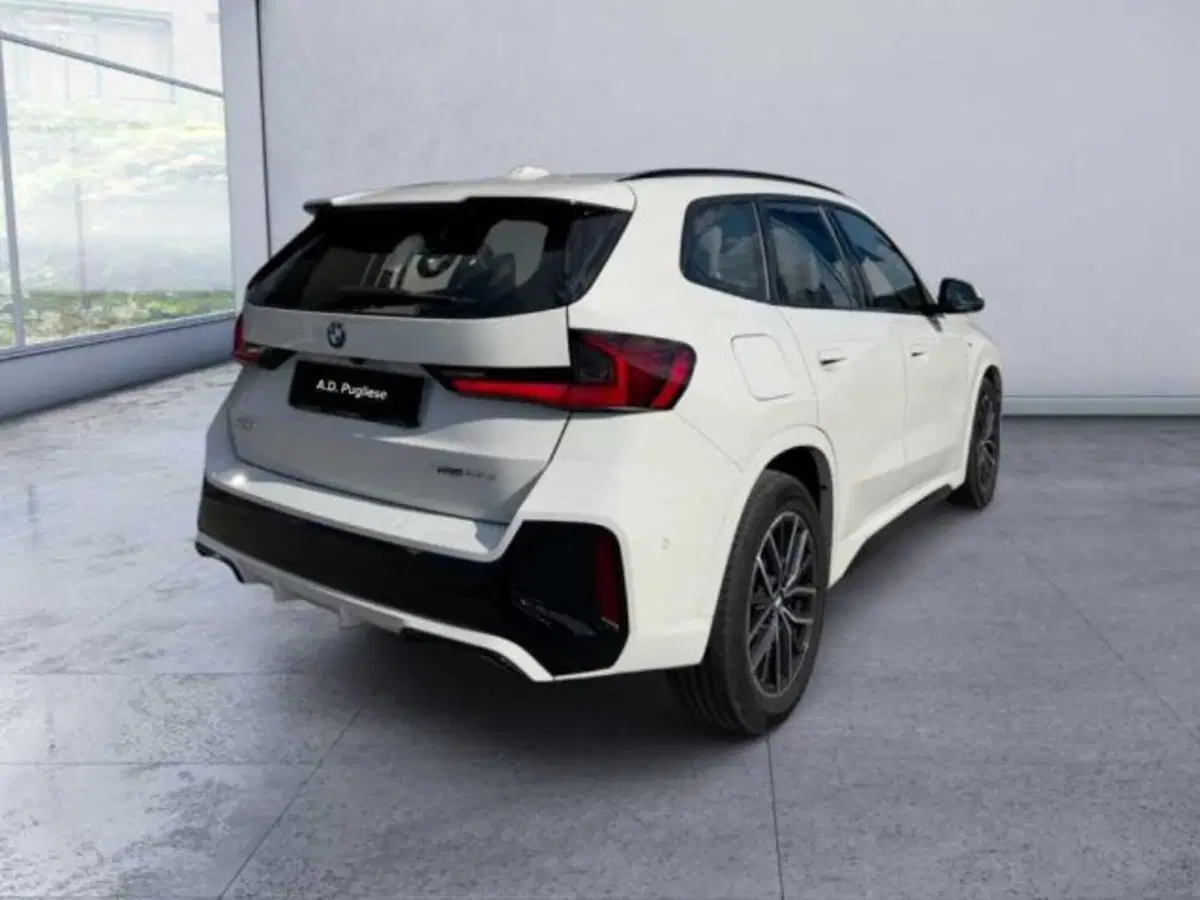 BMW X1 usata a Caltanissetta (4)