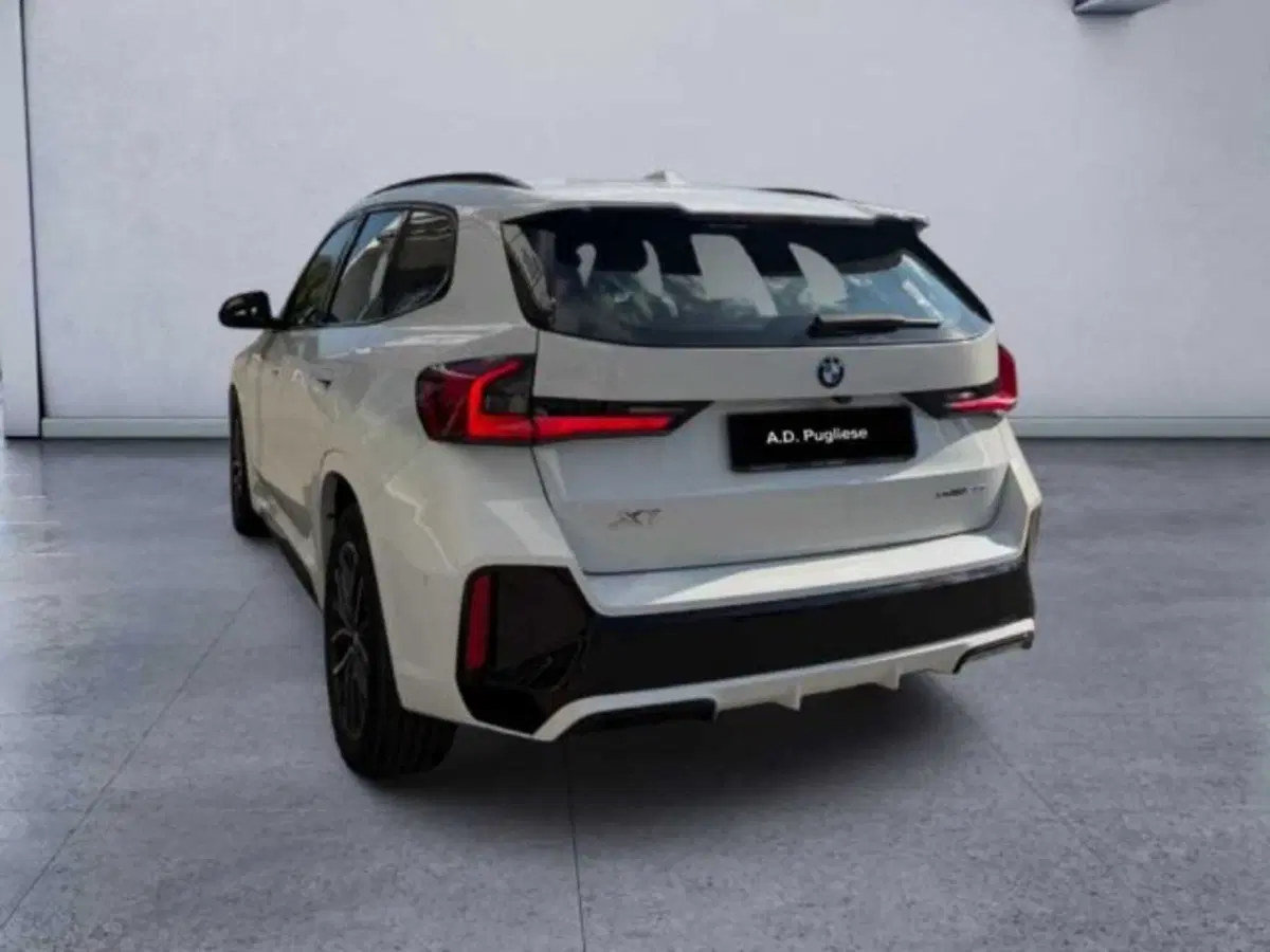BMW X1 usata a Caltanissetta (6)