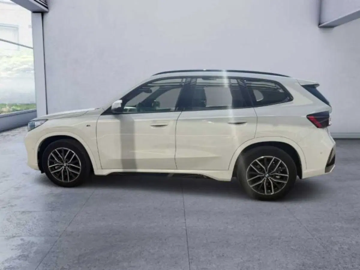 BMW X1 usata a Caltanissetta (7)